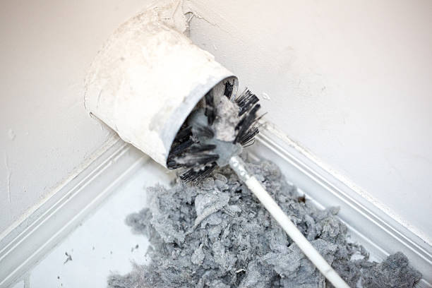 Best Dryer Vent Cleaning Services  in Gilbert, AZ